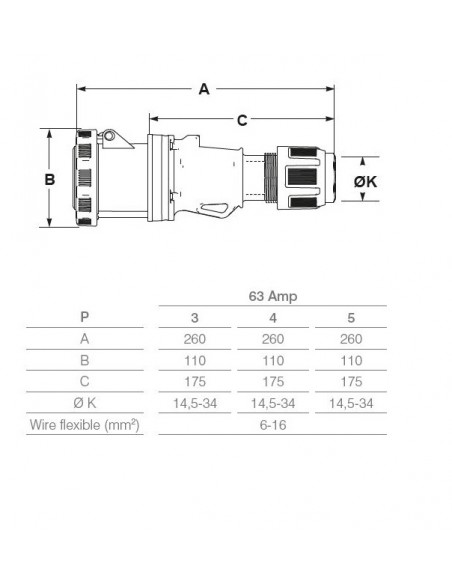 PRESA INDUSTRIALE 63A MONOFASE 2P+T IP67 220V VOLANTE PROFESSIONALE 3 POLI MARCA ROSI MADE IN ITALY