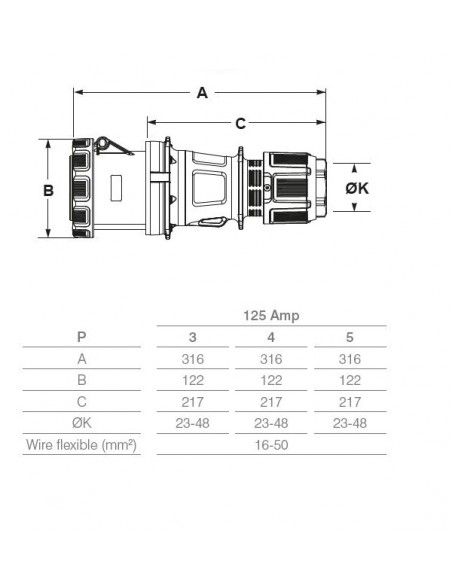 PRESA INDUSTRIALE 125A TRIFASE 3P+N+T IP67 380V VOLANTE PROFESSIONALE 5 POLI MARCA ROSI MADE IN ITALY